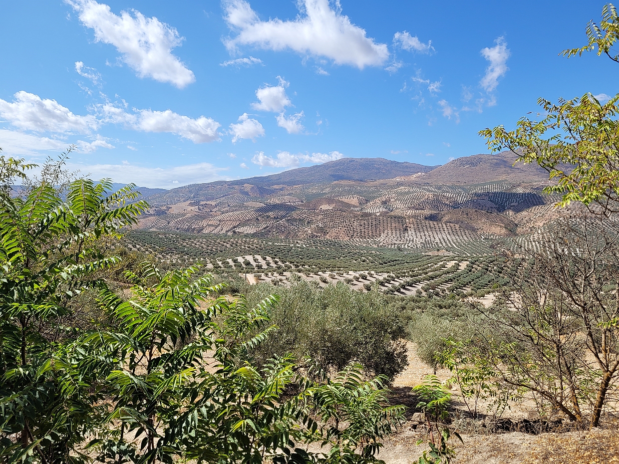 Alhama de Granada 0001